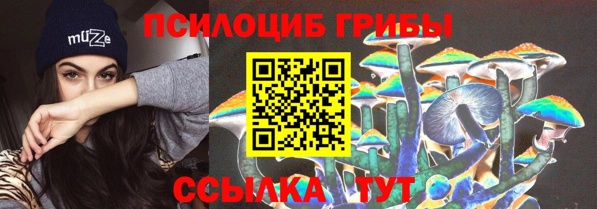 Галлюциногенные грибы мухоморы Вязьма