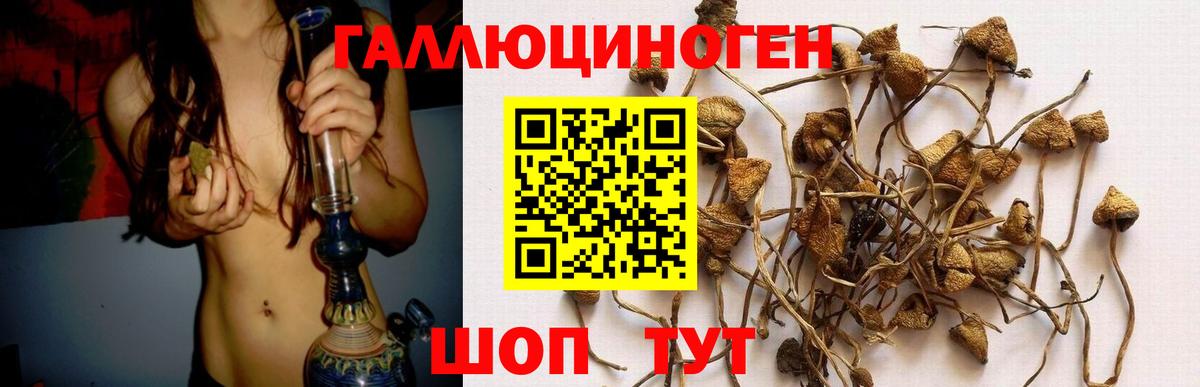 купить наркоту  Псилоцибиновые грибы ЛСД  Вход с VPN  Вязьма 